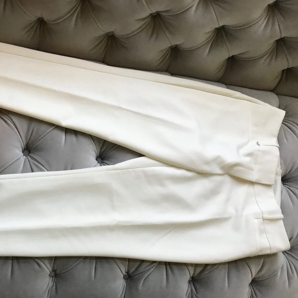 The Limited Dress Pants